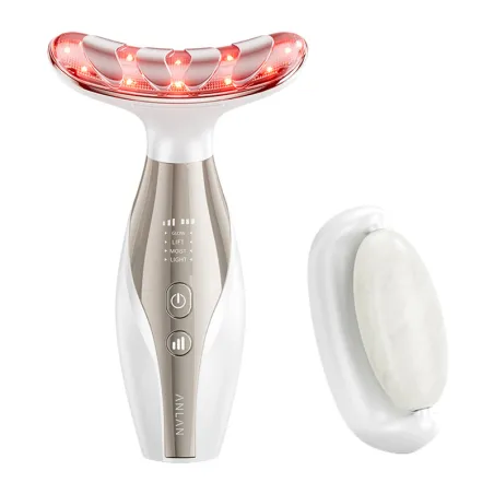 ANLAN 01-AMFY51-02A 2-in-1 Electric EMS Massager